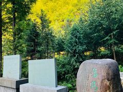 -仙霞关景区