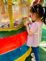 -萌宠亲子动物乐园(槐房万达店)