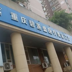 -碧莲盛·不剃发植发
