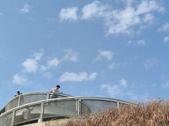 -白石龙音乐公园