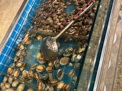 -海草馆自助餐厅(悦海店)