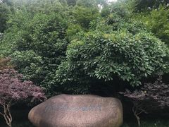 -杭州城北体育公园