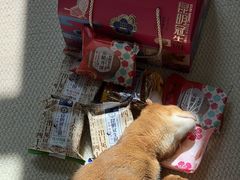 -昆明冠生园·蛋糕·面包(南强街店)