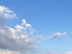 -北岐滩涂