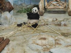 -海南热带野生动植物园