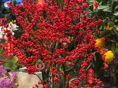 -华盛丰温州大排档(东三环南路店)