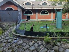 -哈尔滨北方森林动物园
