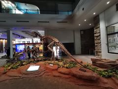 -自贡恐龙博物馆