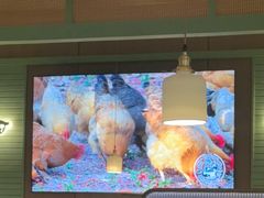 -狐狸爱上椰子鸡(滨江星光大道店)