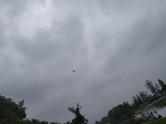 -桐乡凤凰湖