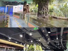 -上海大自然野生昆虫馆(东方明珠·爬宠昆虫探索中心)