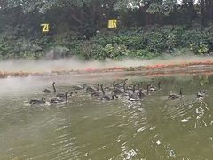 -广州长隆飞鸟乐园