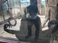 -昆明动物园