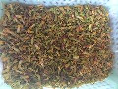 益恒饭店-白家寨子·山野白族菜(古城总店)