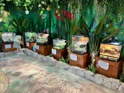 点击看大图 -酷嗒动物文化乐园(cutezoo西溪乐天城店)