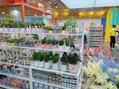 -KKV(常州新北万达广场店)