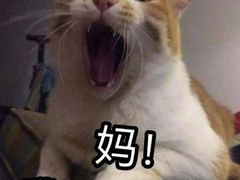 -汉堡王(华润五彩城店)