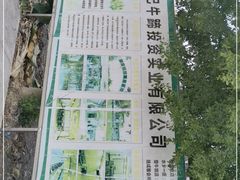 -伟记牛蹄(道滘店)