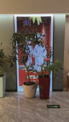 -爱儿美儿童摄影(奥森公园店)