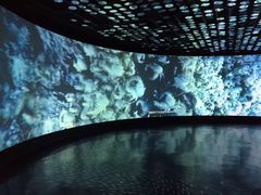 -同济大学四平路校区深海探索馆