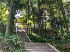 -青城山