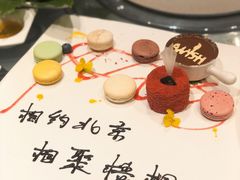 -梧桐