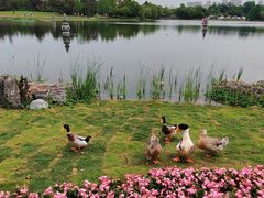 -武汉园博园(武汉自然博物馆)