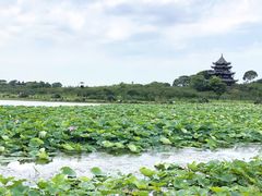 -上海海湾国家森林公园