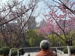 -西安唐皇城墙含光门遗址博物馆