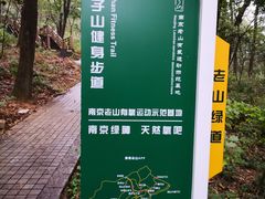 -南京老山国家森林公园