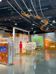 -北京科学中心儿童乐园