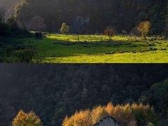 -狮子沟牧场