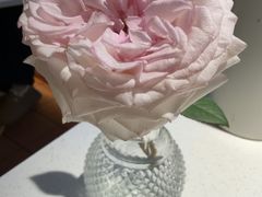 -俏贝拉(裕后街店)