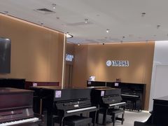 -雅马哈乐器专卖店(广州旗舰店)