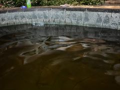 -北京君和豪生温泉度假酒店
