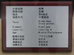 DSC08591-北京周口店北京人遗址博物馆