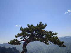 -华山风景名胜区