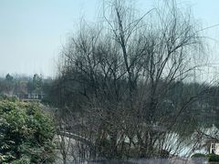 -南阳建业森林半岛假日酒店