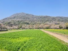 -八卦田遗址公园