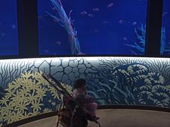 -沈阳海洋探索中心