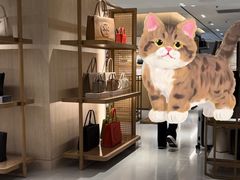 -TORY BURCH(海港城海洋中心店)