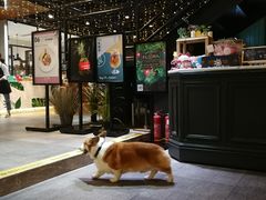 -771餐吧·咖啡·西餐·烤肉(金湖广场店)