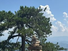 -天目山大树王景区