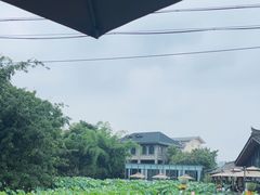 -莫催咖啡