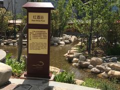 景点红酒浴-太白山御龙湾温泉