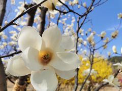 -北京西山国家森林公园