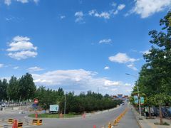 -北京西山国家森林公园