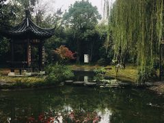 -武汉园博园(武汉自然博物馆)