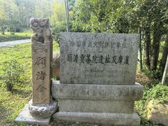 -大唐贡茶院