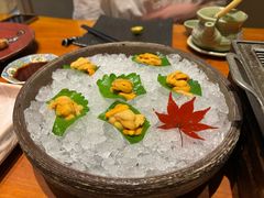 -月龍吟(朝龙汇店)